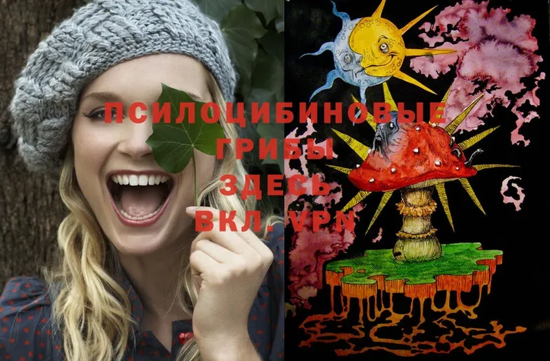 Галлюциногенные грибы Cubensis  Электроугли 